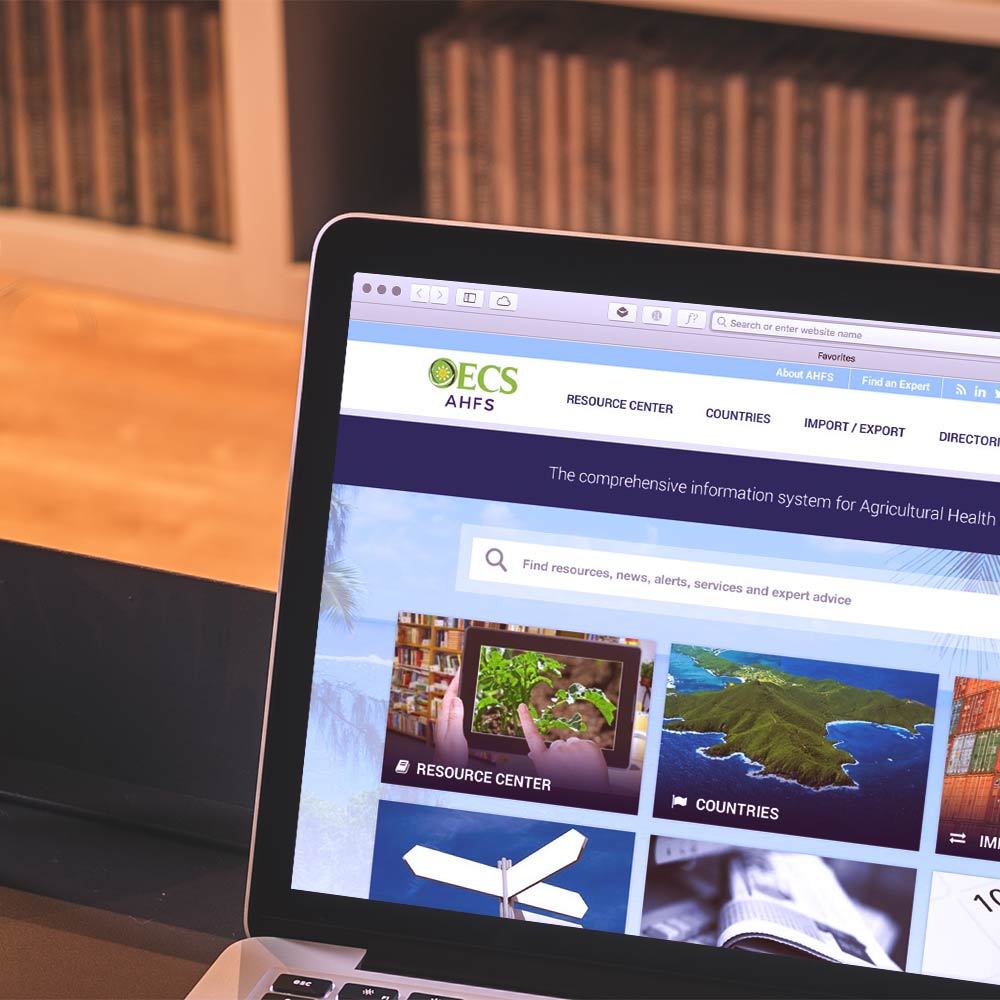 OECS website prototype shown on a laptop