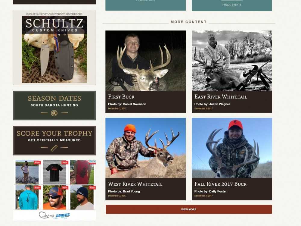 Image of a website with online ads